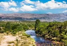 Valle de Traslasierra: donde la medicina se combina con los aromas y sabores